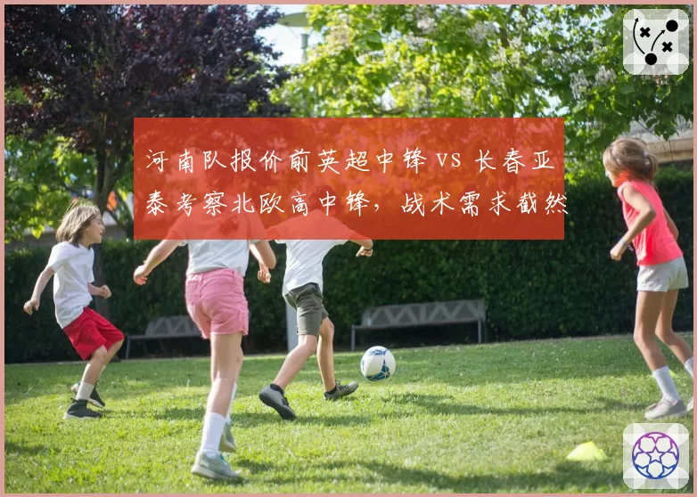 河南队报价前英超中锋 vs 长春亚泰考察北欧高中锋,战术需求截然相反